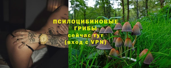 герыч Алзамай